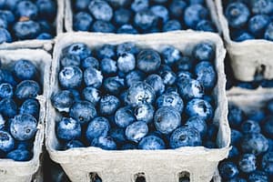 Blueberries and Weight Loss_Superfood