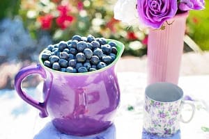 Blueberries and Weight Loss