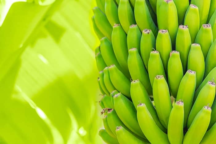Bananas: Nutritional Facts, Health Benefits And Weight Loss